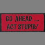 Go Ahead Act Stupid 2.5" x 3.5"