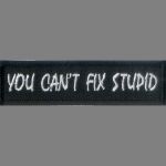 You Can't Fix Stupid 1" x 4"