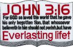 John 3:16 3" x 5"