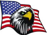 American Flag - Eagle Head 6" x 7 1/2"