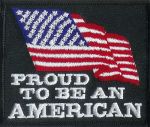 Proud To Be An American 3.5" x 3.5"