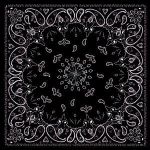 BANDANNA BLACK PAISLEY