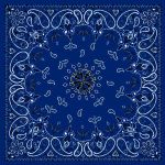 BANDANNA Navy Paisley