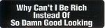 WHY CAN'T I BE RICH INSTEAD OF SO DAMN GOOD LOOKING