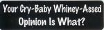 YOUR CRY-BABY WHINEY-ASSED OPINION IS WHAT